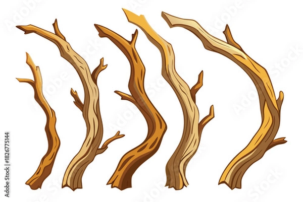 Obraz Dry Wood Branches and Twigs Collection