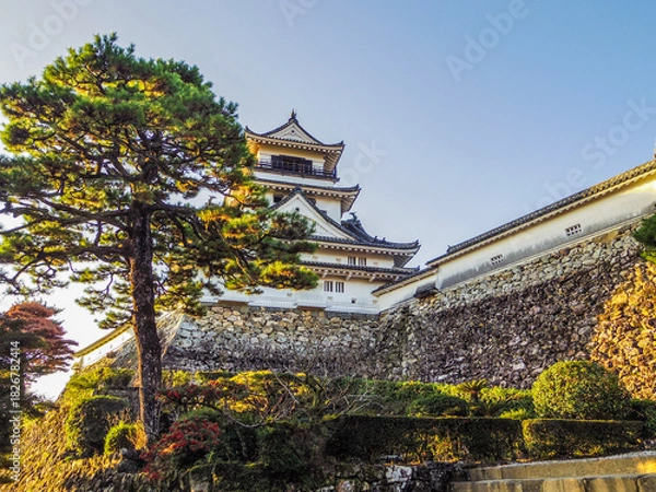 Obraz 【高知県】高知市・高知城