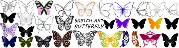 Fototapeta A collection of butterfly sketches and drawings in black and white with varying designs and styles