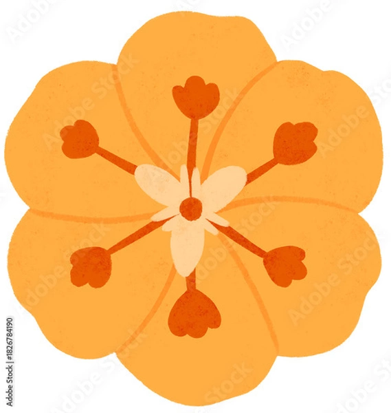 Fototapeta Isolated orange flower illustration. Cute floral doodle for invitation, pattern, journaling, planner, greeting card, and decorative projects