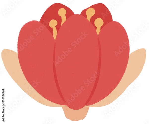 Fototapeta Isolated red flower illustration. Cute floral doodle for invitation, pattern, journaling, planner, greeting card, and decorative projects