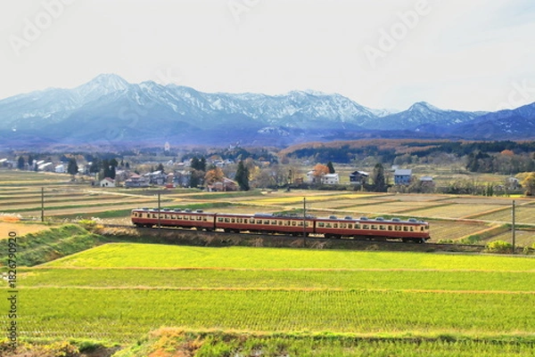 Obraz 雄大な北アルプスを背景に疾走するえちごトキめき鉄道455・413系電車_2025/11/23撮影