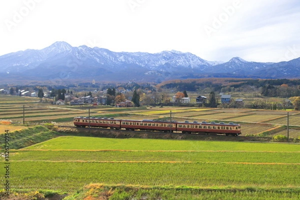 Obraz 雄大な北アルプスを背景に疾走するえちごトキめき鉄道455・413系電車_2025/11/23撮影