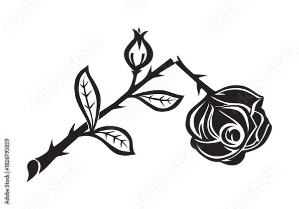 Fototapeta Trauer9271125c