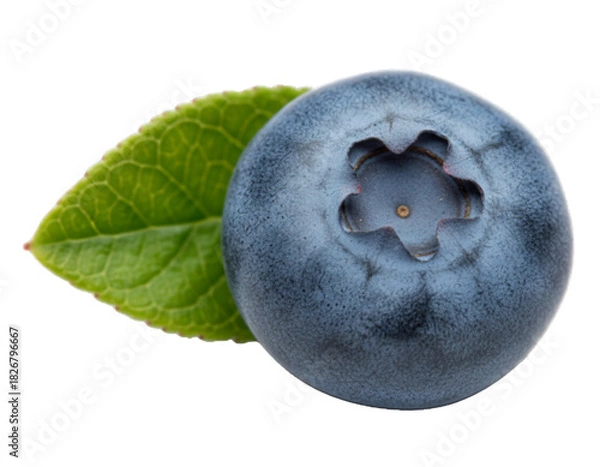 Obraz Single Blueberry with Leaf Close-Up – Macro Fresh Fruit 