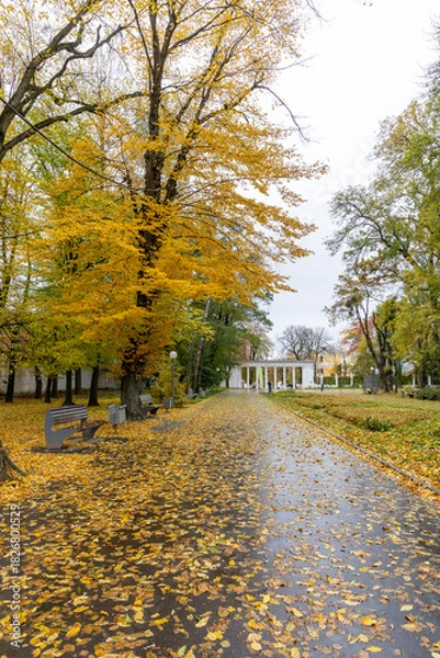 Obraz A rainy autumn day in the city park
