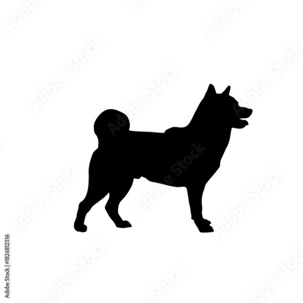 Obraz Silhouette of a shiba inu dog standing on a white background