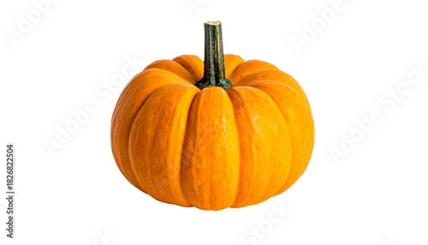 Obraz Vivid orange pumpkin, isolated against a black backdrop, showing ribbed texture