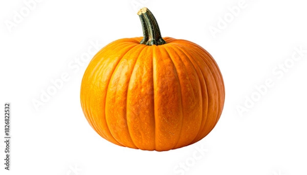 Obraz Close-up of a perfectly round, vibrant orange seasonal squash isolated against a black background