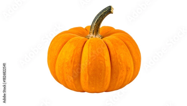 Obraz Close-up of a perfectly ripe, round, orange pumpkin with a dark, twisted stem