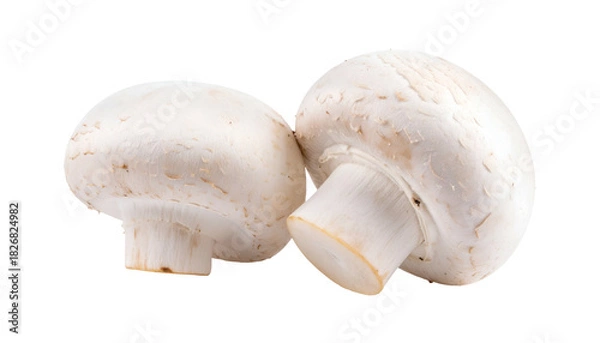 Obraz Close-up studio shot of two white button mushrooms, isolated with dark background