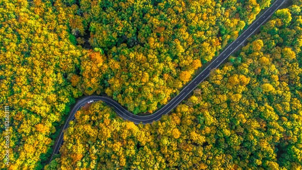 Obraz Road trip perfect road winding its way through thick forest