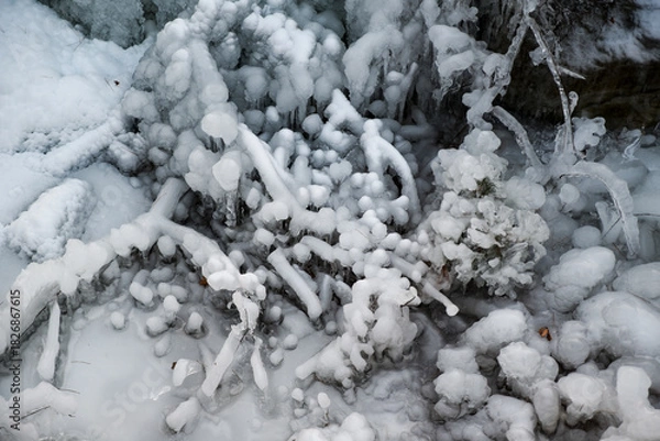 Obraz A snow covered tree branch with ice on it. The ice is in various shapes and sizes