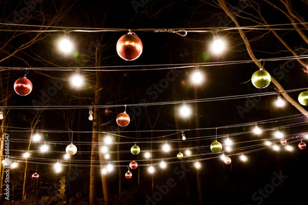 Obraz Christmas lights hanging from the trees. There are many different colored lights