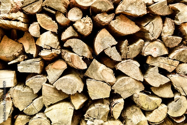 Obraz A pile of wood logs stacked on top of each other. The logs are brown and have a rough texture