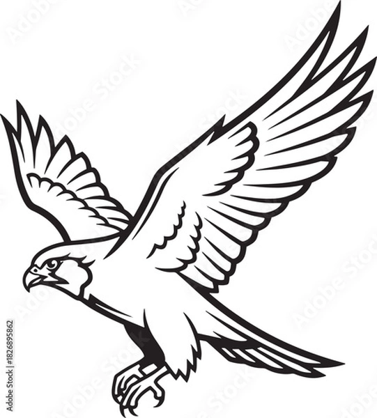 Fototapeta  black line art illustration of a falcon or hawk in flight. Predator bird.