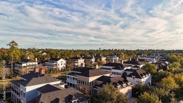 Obraz Aerial view of large mansion houses with swimming pool,  in affluent neighborhood  by Woodlands lake, Houston, Texas, expensive suburban homes surrounding by lush green trees, USA