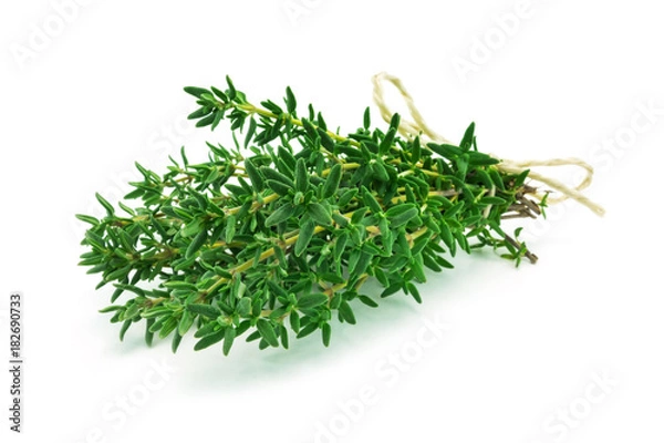 Obraz Thymian isoliert