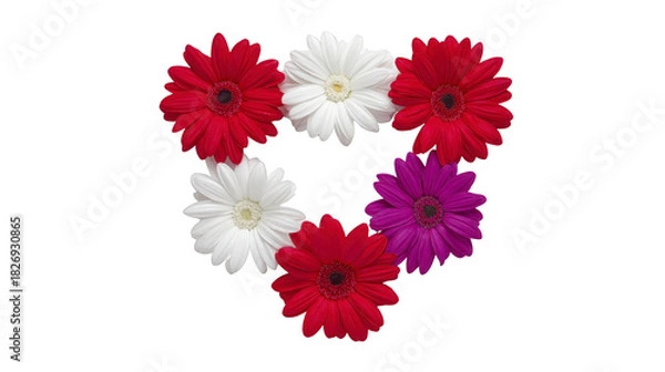 Fototapeta Red daisy, white daisy, and purple daisy flowers arranged in heart shape on transparency background, symbolizing love, romance, and affection, perfect for Valentine Day or romantic occasions