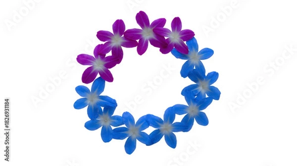 Fototapeta Purple and blue tropical flower lei, arranged in circular shape, isolated on transparent background, symbolizing celebration, summer, and Hawaiian culture, with festive and cheerful mood
