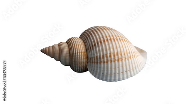 Fototapeta Coastal Harmony: A single, exquisitely detailed seashell lies gracefully, its spiraling form and delicate textures evoking the serene beauty of the ocean's embrace.