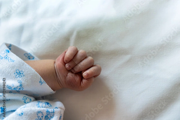 Fototapeta Newborn baby hand in a tiny fist sleeping