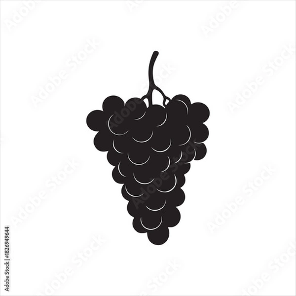 Obraz grapes vector illustration