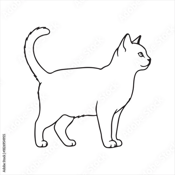 Obraz black cat vector