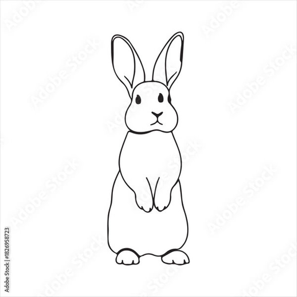 Obraz vector illustration of a rabbit