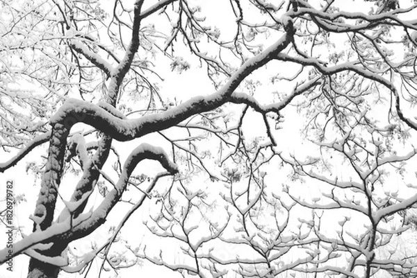 Obraz Baum im Winter mit Neuschnee