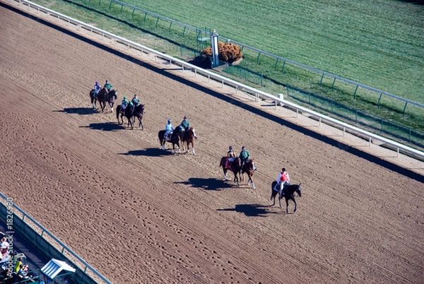 Fototapeta horse racing
