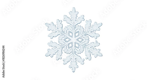 Fototapeta Detailed Realistic Ice Crystal Snowflake
