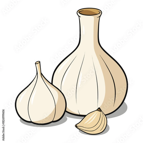 Obraz vector illustration of garlic
