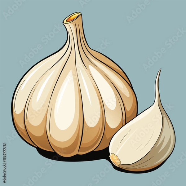 Obraz vector illustration of garlic