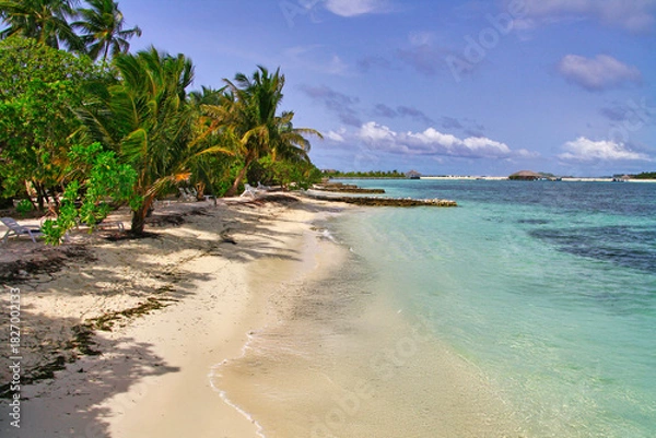 Fototapeta Tropical landscape of Hudhuranfushi island in the Maldives. Indian Ocean