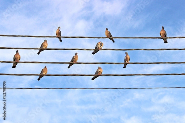 Obraz 10 petites notes