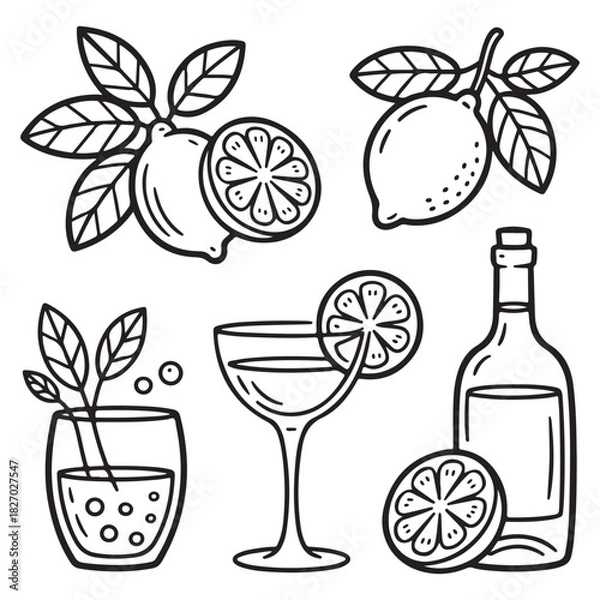 Obraz Lemon Fruit with Wine Bottle and Cocktail Drink — Minimal Black Line Vector