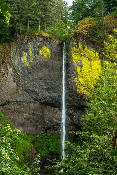 Obraz Latourell Falls in Oregon