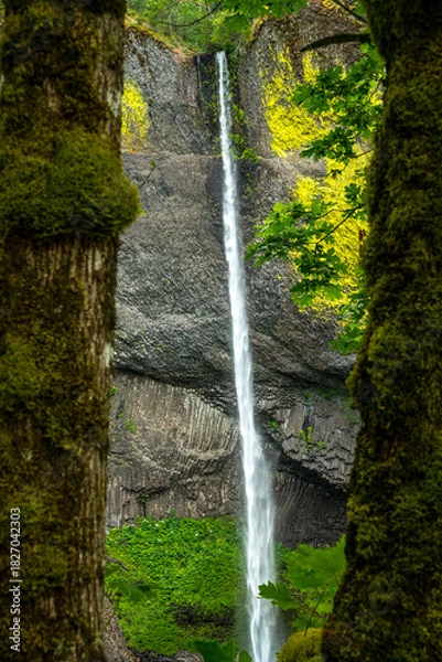 Obraz Latourell Falls in Oregon