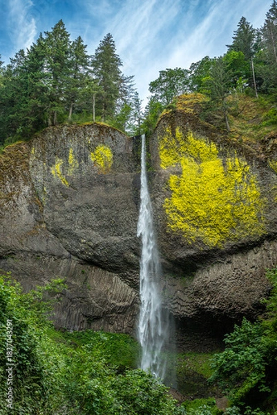 Obraz Latourell Falls in Oregon