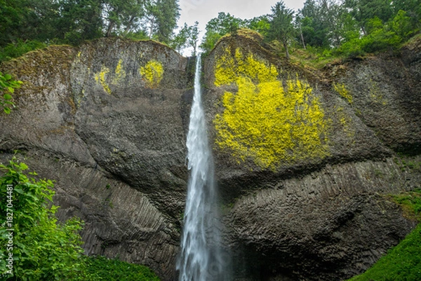 Obraz Latourell Falls in Oregon
