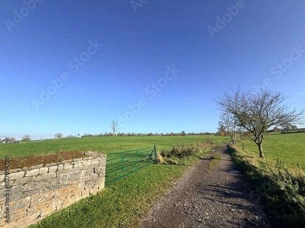 Obraz walk in the park