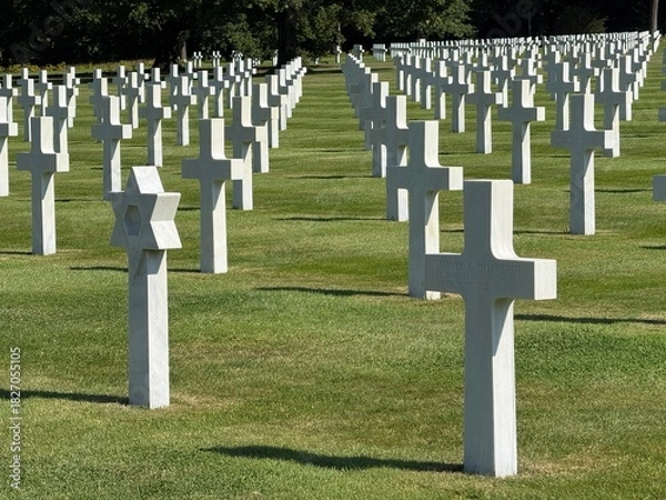 Obraz american war cemetery