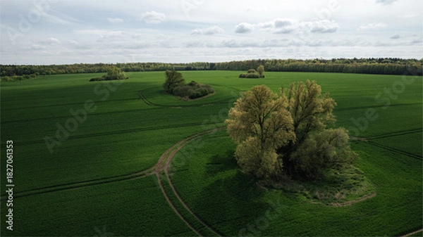 Fototapeta Drone image of an expansive green agricultural field in spring with isolated tree clusters and visible tractor paths. The rural landscape features a clear contrast between the lush vegetation and the 