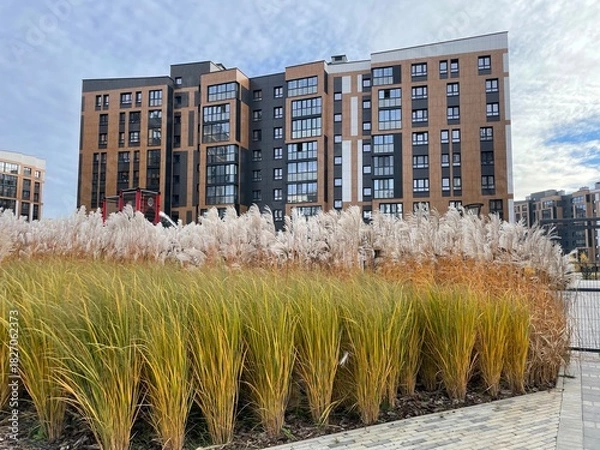 Obraz Pampas grass in front of modern apartment buildings under a cloudy sky
