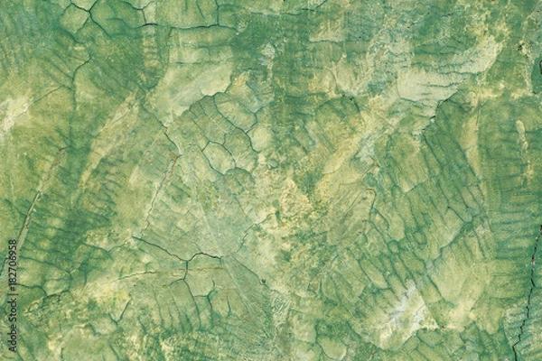 Obraz Green concrete wall texture