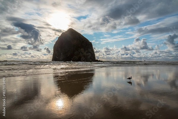 Obraz Haystack Rock Sunset
