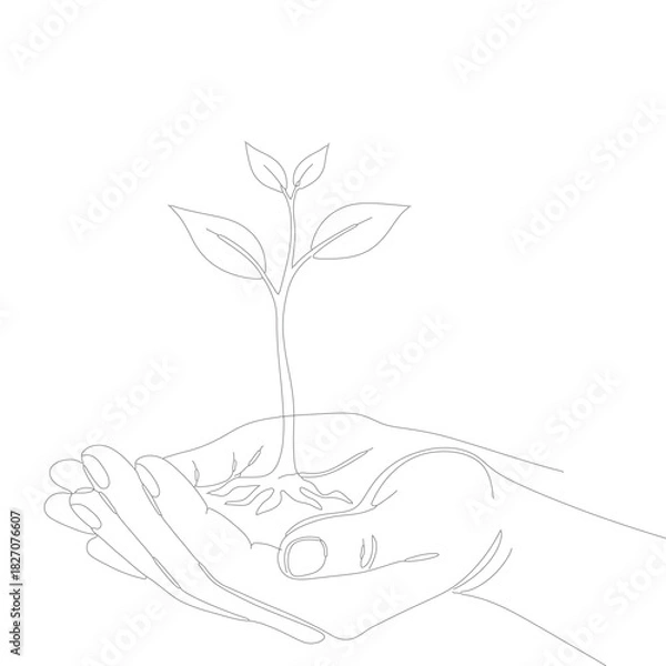 Fototapeta savings and earnings. A pair of hands holding a sapling in their palms.	