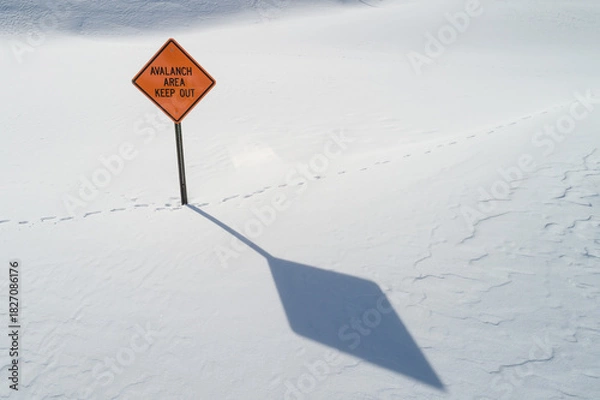 Obraz Avalanche Area