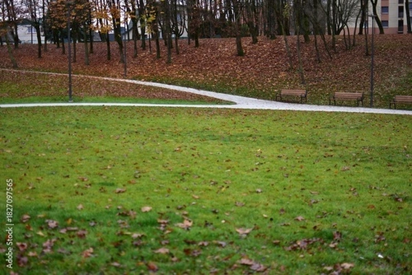 Fototapeta Green grass lawn covered with scattered autumn leaves in a quiet park. Trees with brown foliage, benches and a winding pedestrian path complete the peaceful outdoor scene.